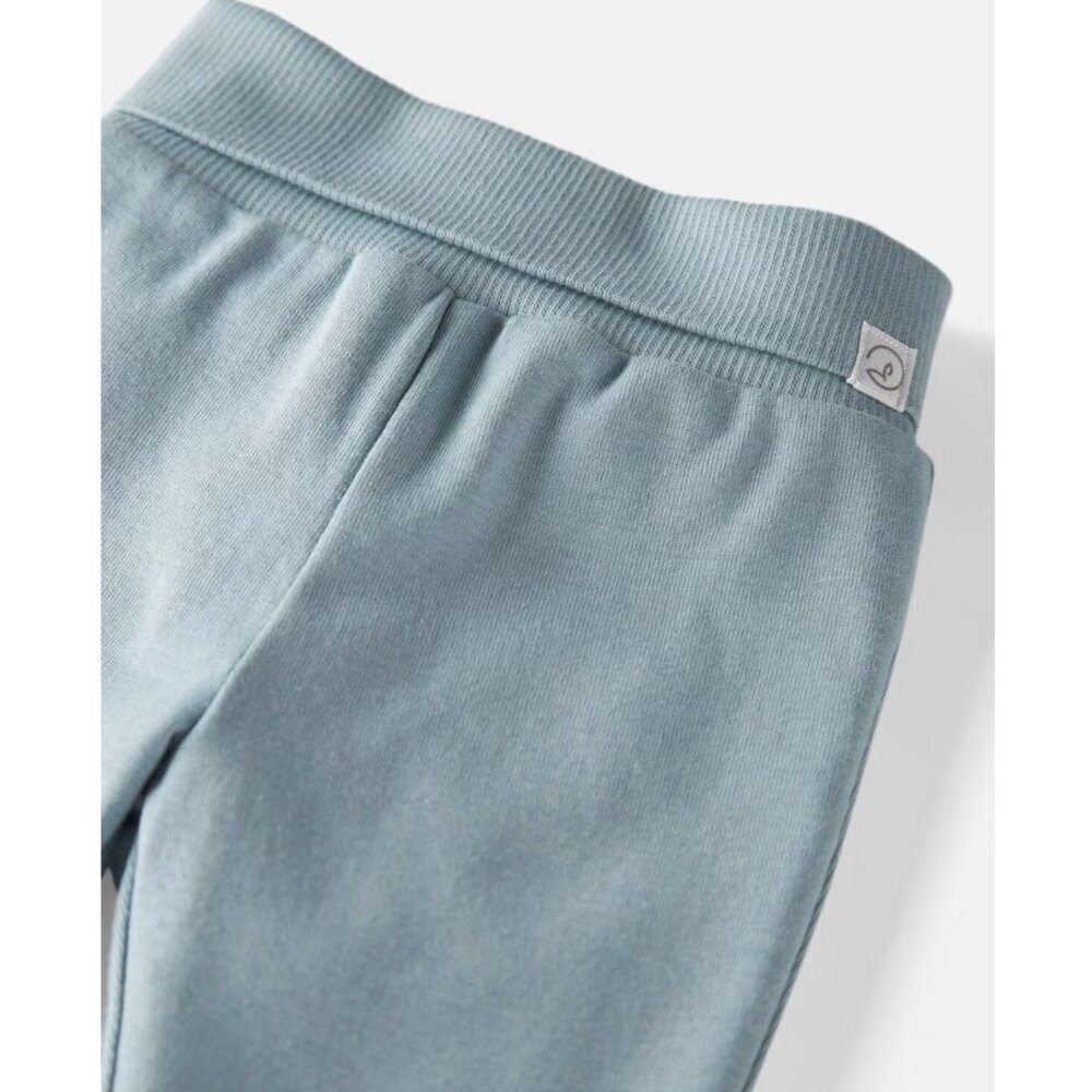NWT Little Planet Carter's Organic Cotton Joggers Pants SET of 2 (9-Month Size) - Picture 2 of 6
